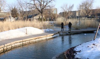 今天的天气真冷啊写一段话 今天的天气真冷啊写句子