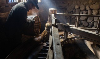 茶籽榨油的正确方法 茶籽榨油的传统方法