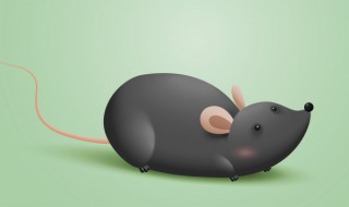 家用简单捕鼠器制作方法 简易版捕鼠器怎么制作