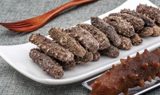 海参怎么存放好 储存海参的步骤