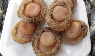 冻干鲍鱼的发制方法 干鲍鱼如何泡发