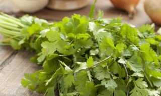 香菜怎么存放 储存香菜的窍门