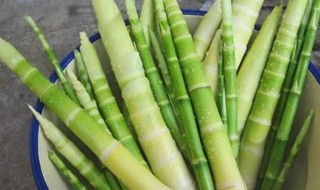 新鲜的竹笋怎么存放 新鲜竹笋的存放方法