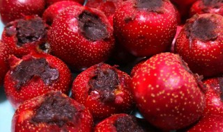 糖球做法窍门 糖球做法窍门与步骤