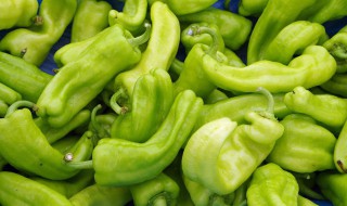 青椒冰冻方法 辣椒冷冻方法