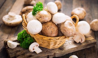 炒杂蘑做法 炒杂蘑做法窍门