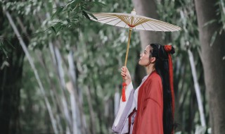 描写雨优美句子 描写雨的优美句子有哪些