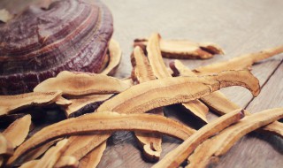 灵芝松茸鸡汤如何做 灵芝松茸鸡汤简单做法