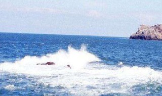 描写海面情况的句子 有关海面的句子示例