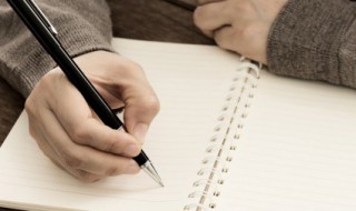 描写冬天的芦花句子 形容芦花句子介绍