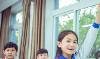 昆虫记读后感 读了昆虫记的感想