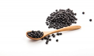 黑豆怎样做营养早餐 黑豆豆浆和豆渣饼的做法