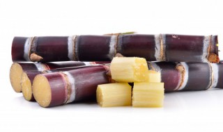 甘蔗种怎么存放 如何存放甘蔗