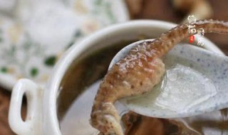 怎样做海马汤 做海马汤的步骤