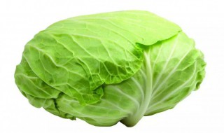 椒香圆白菜如何做 椒香圆白菜的做法介绍