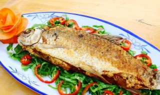 煎鲮鱼怎么做好吃又简单 煎鲮鱼的做法介绍