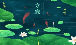 描写夏天的伤感优美句子 有关夏天的伤感句子推荐