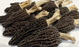 羊肚菌的营养与功效 羊肚菌的功效是什么
