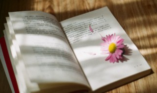 令月公主是什么梗 令月公主解释