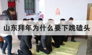 山东拜年为什么要下跪磕头 山东拜年下跪磕的原因