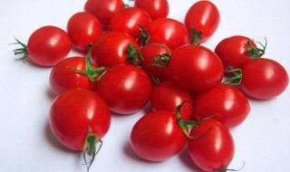 圣女果如何做最好吃 圣女果如何做最好吃介绍