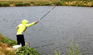 傍晚钓鲫鱼技巧 傍晚钓鲫鱼注意事项如下