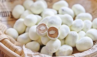 奶枣是啥 奶枣介绍