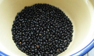 黑豆汁怎样做 怎样做黑豆汁