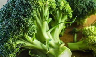 西兰花怎么存放 西兰花如何保存
