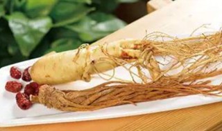 鲜人参怎么存放 鲜人参的存放方法