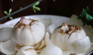 百合怎么存放 新鲜百合怎么存放