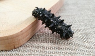 发好的海参怎么存放 如何保存发好的海参