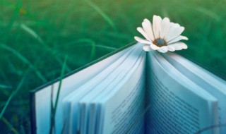 老舍经典语录 老舍的作品经典句子