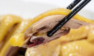 鸡怎么吃 鸡的烹饪方法