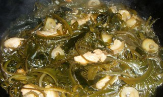 海带炖肉制作方法 海带炖肉做法步骤