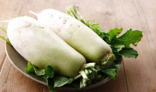 冬天萝卜储存方法 怎么在冬天存放萝卜