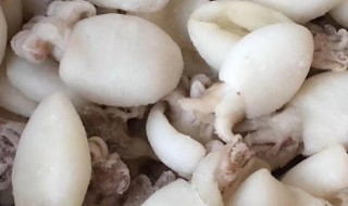 冰冻小墨鱼仔怎么清洗 清洗冰冻小墨鱼仔的方法介绍