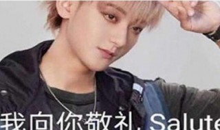 我向你敬礼salute梗的出处 我向你敬礼salute梗的出处介绍