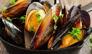 海虹哪个部位不能吃 海虹简单介绍