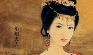 华阳夫人和芈月的关系? 华阳夫人和芈月有何关系