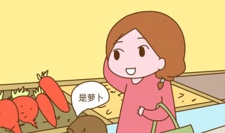 孩子不喜欢蔬菜怎么办 孩子不喜欢蔬菜解决方法