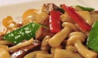 炒杂蘑窍门 怎么炒杂蘑