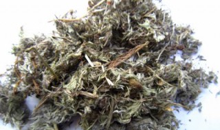 怎样用茵陈泡水喝 如何用茵陈泡水喝