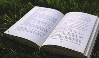 带涛字的男孩名字 带涛字的男孩名字有什么