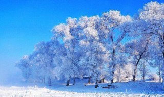 冬天去长白山有什么好玩的 冬天去长白山有哪些好玩的项目