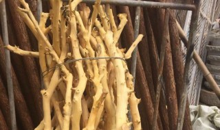 干树枝怎么快速去皮 树枝怎么去皮啊