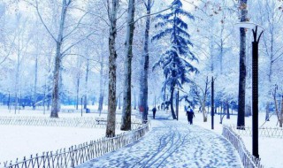 描述雪后景的唯美句子 形容下雪后的景色的优美句子