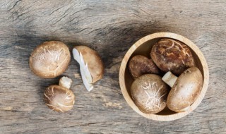 如何做铁板香菇 铁板香菇的做法介绍