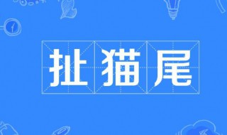 扯猫尾是什么意思 扯猫尾是啥含义