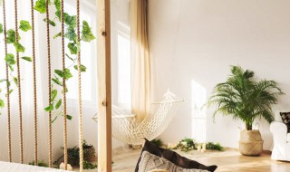 黄角兰扦插繁殖方法 如何杆插黄角兰